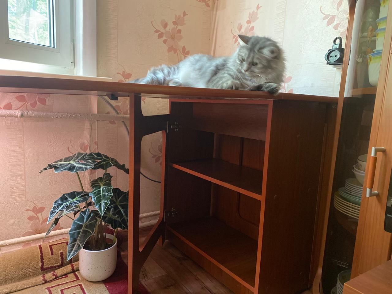 Продам стол-тумбу
