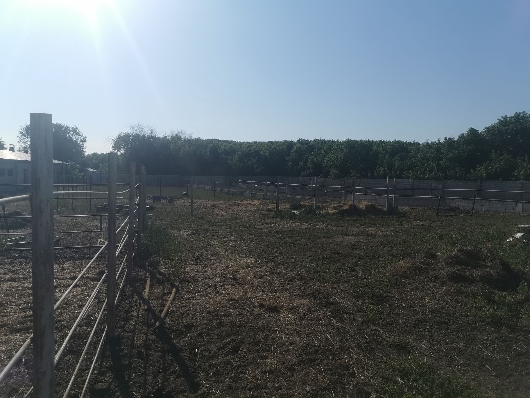 Продам базу кх в городе актобе п. Сазда