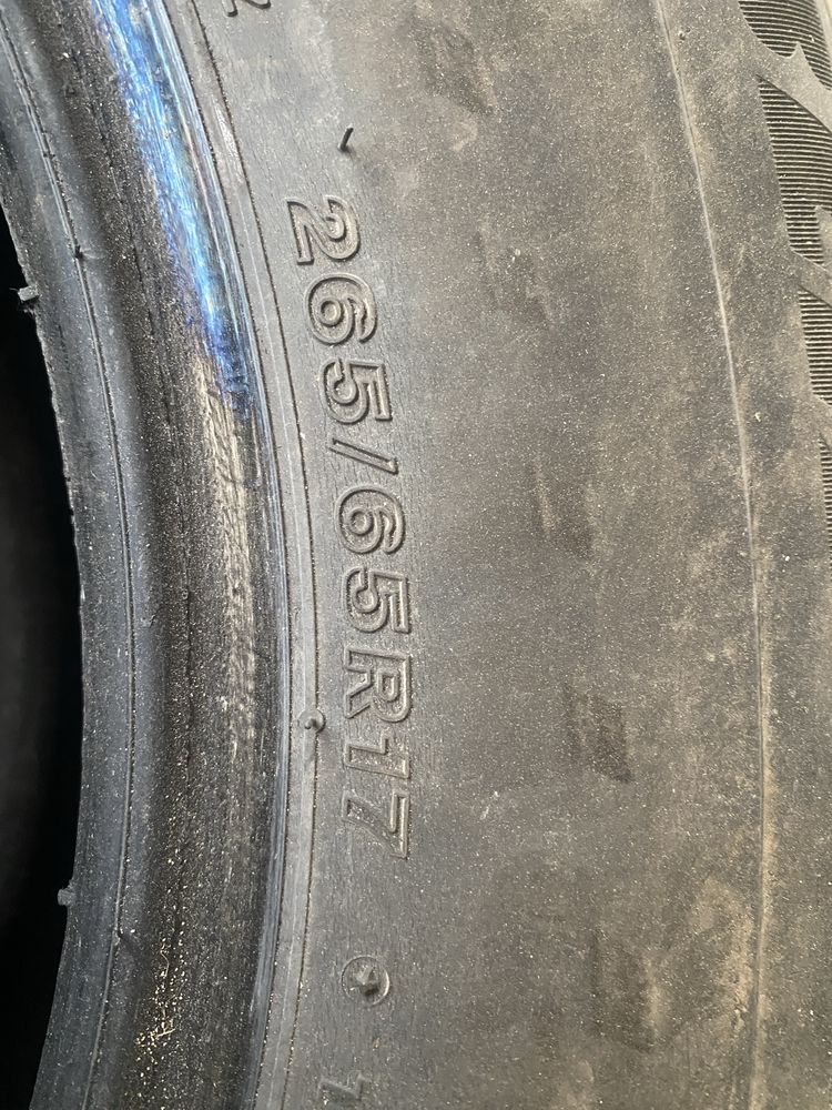 Шины зимние Bridgestone