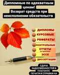 Дипломные и курсовые работы (имеется возврат средств)