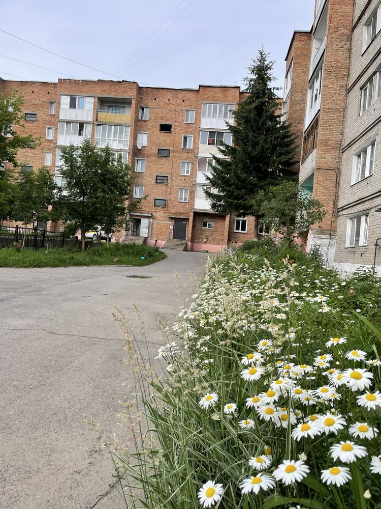 Продам 3х-комнатную Риддер-ул. Дреймана5, мкрн4, за 16.5млн- Ремонт