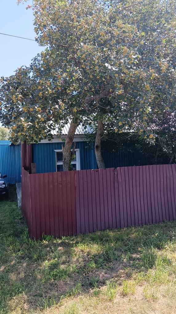 Продам или обменяю