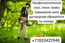 Профессиональный покос ,скос травы  триммером