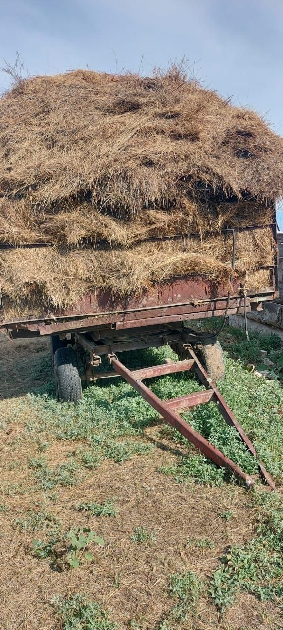 Продам трактор т-40