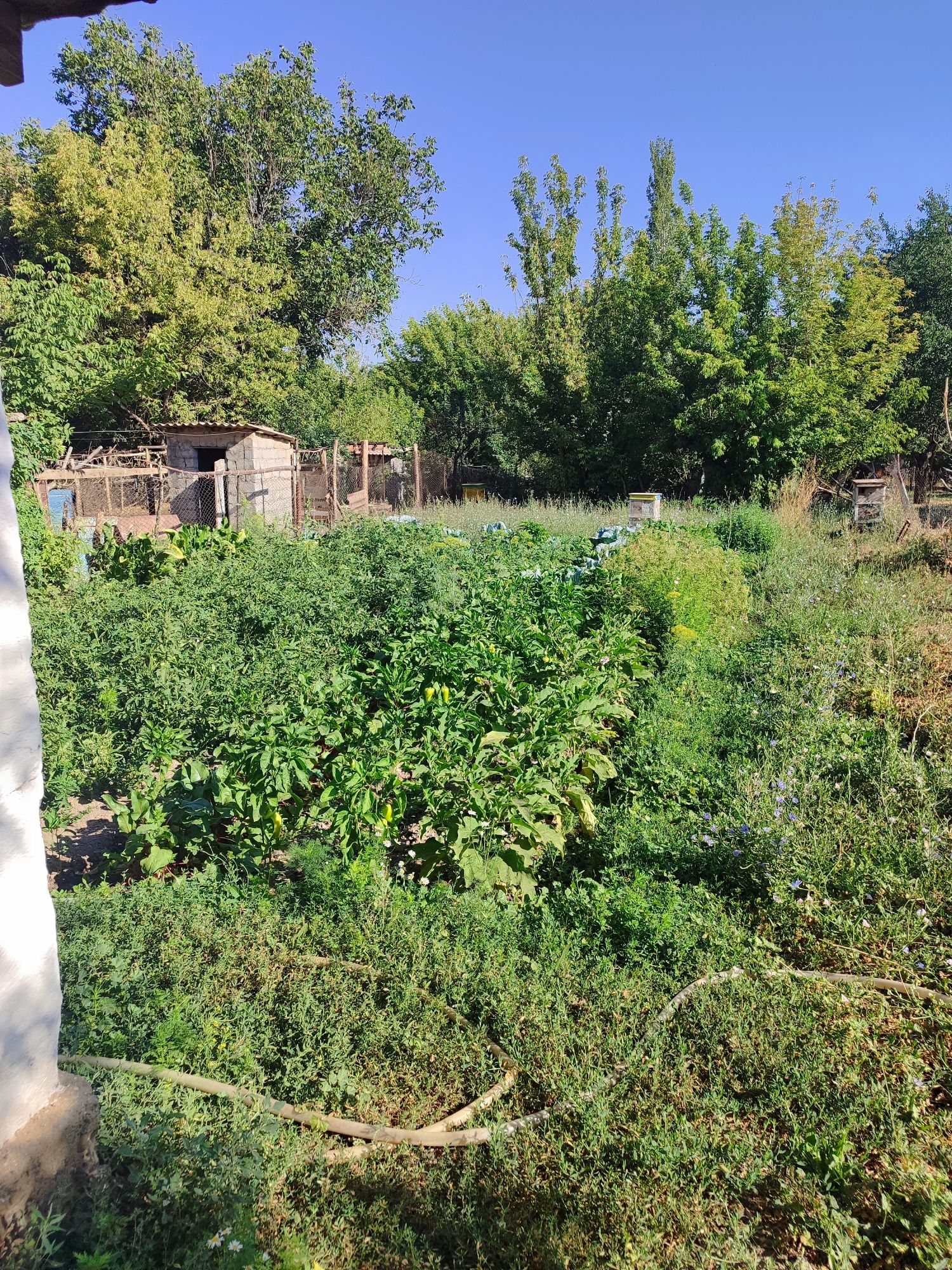 Продается дом срочно