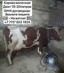 Продам карову с теленком‘’’