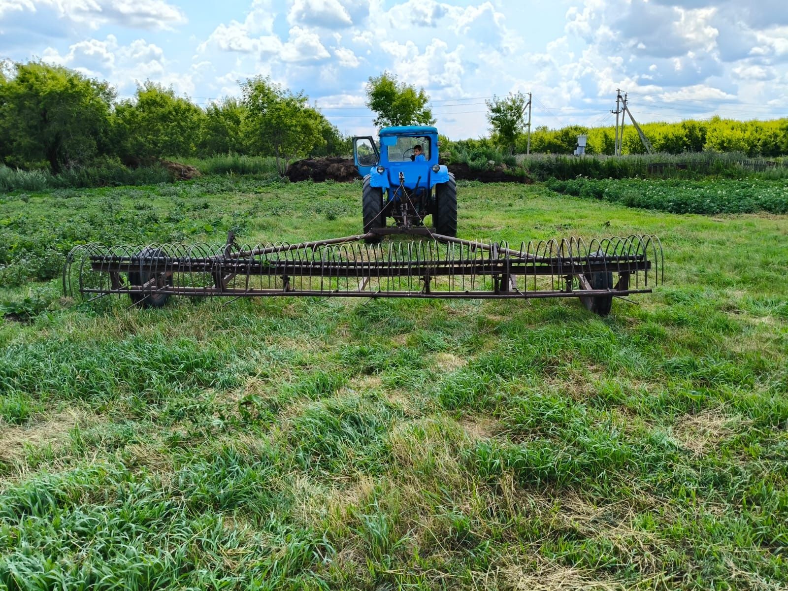 Продам МТЗ-50, ПТС, грабли