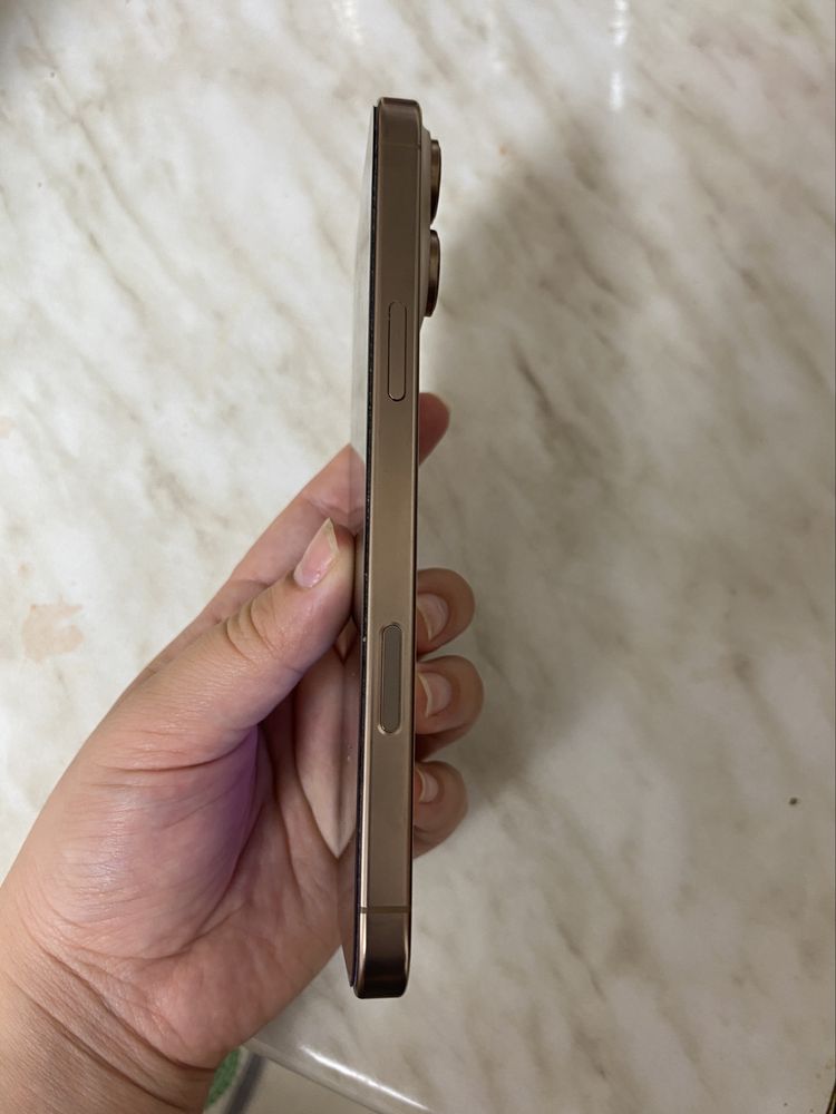 iPhone 16pro max