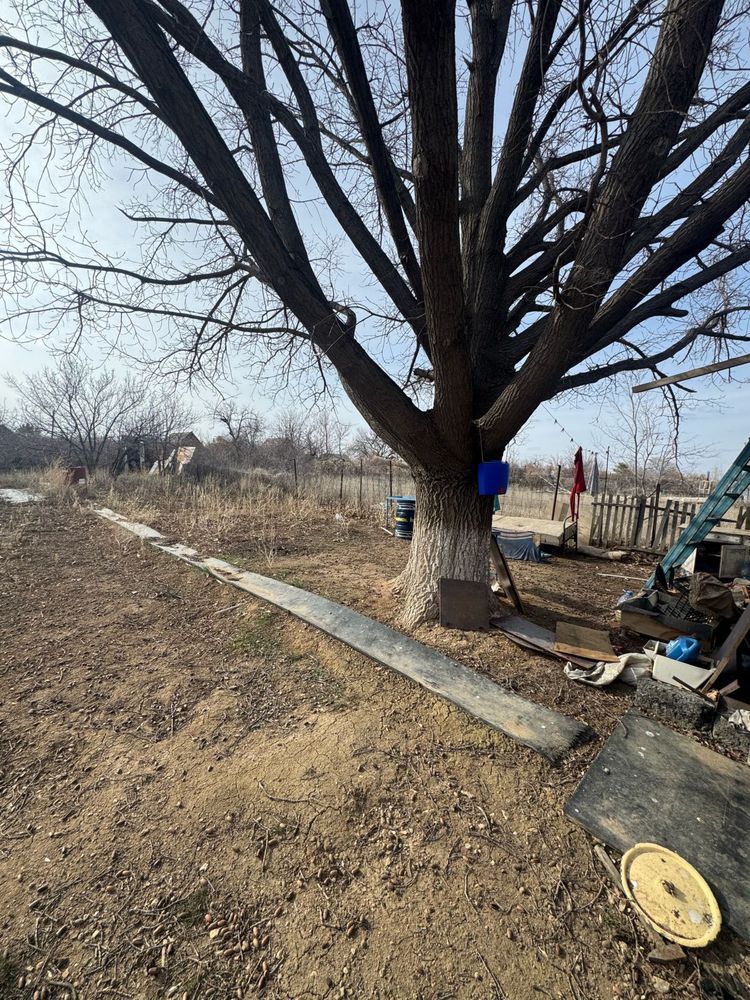 Продам дачу  спутник