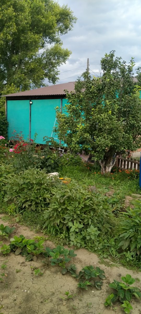 Продам дачу, р-н Акжар, Бутак, 6 сот