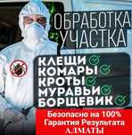 Акарицидная обработка  участка‼️ уничтожение клещей мух комаров клопов