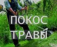 Покос травы с выезжоми