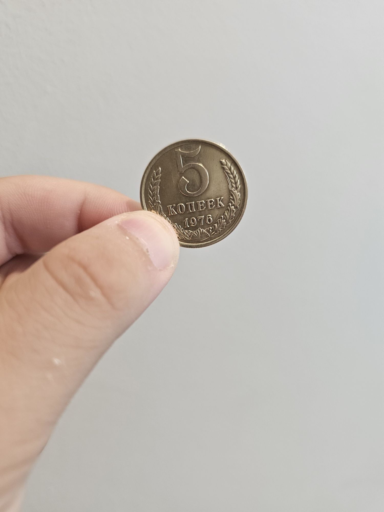 Монета 5 копеек 1976 года СССР 

Продаю оригинальную советскую
