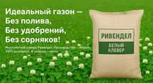Семена газона DLF,Клевер белый ползучий