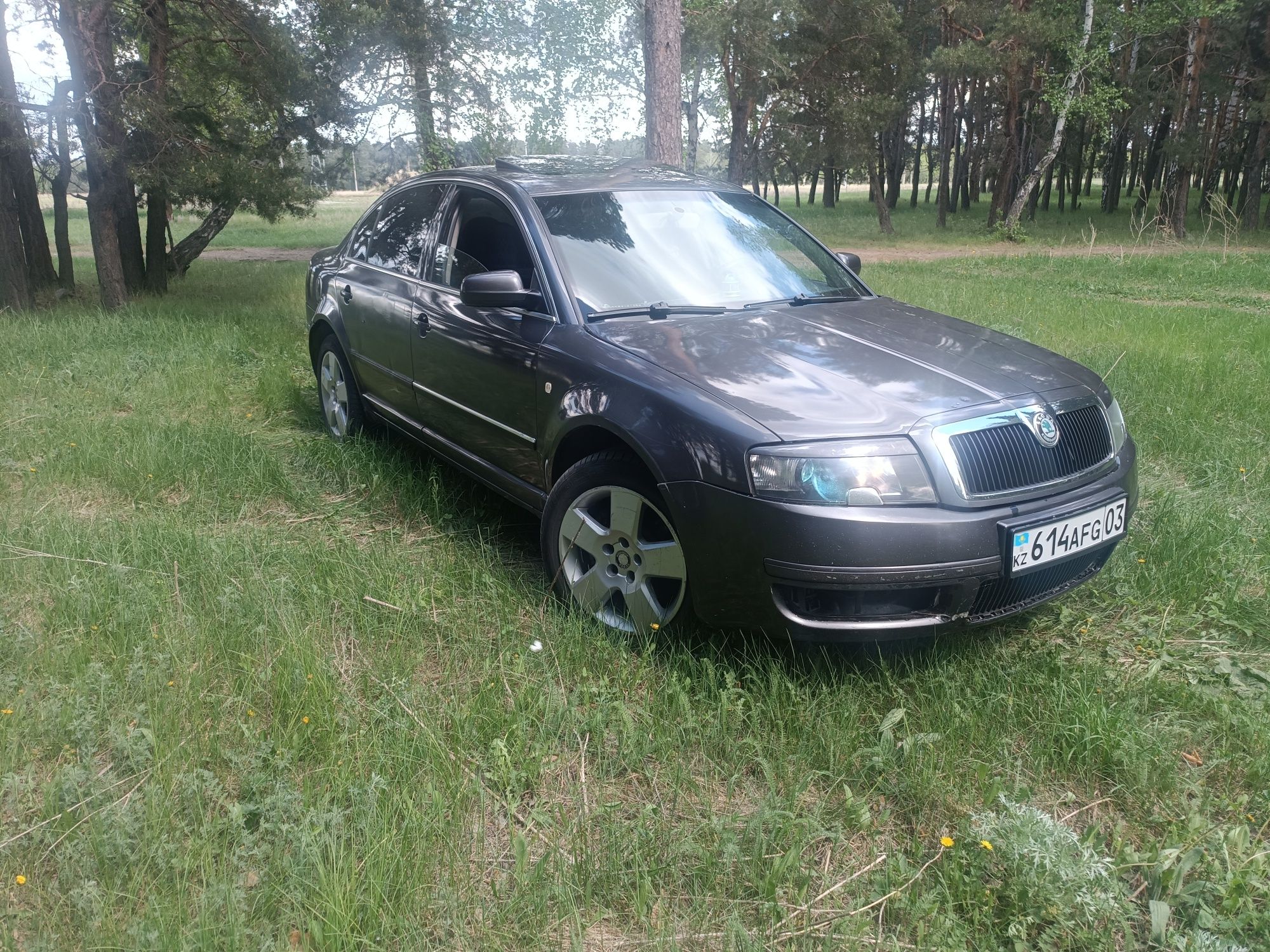 Skoda superb elegance