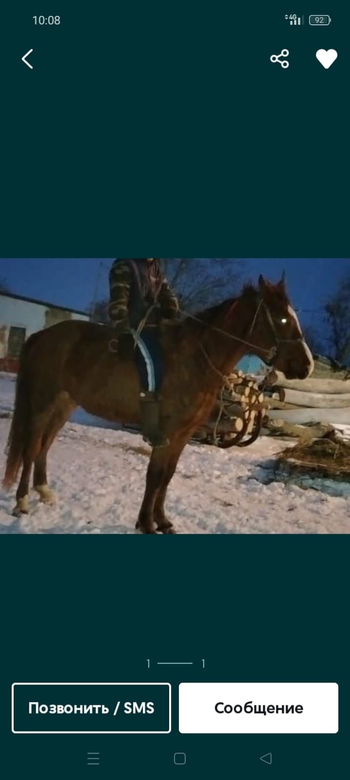 Продам жеребца жорга обученный в круг 3 года находиться в Качирский ра