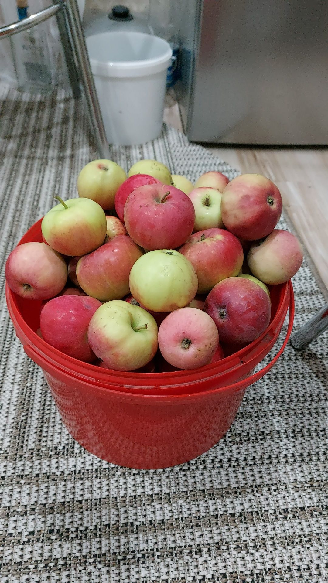 Продам садовые яблоки