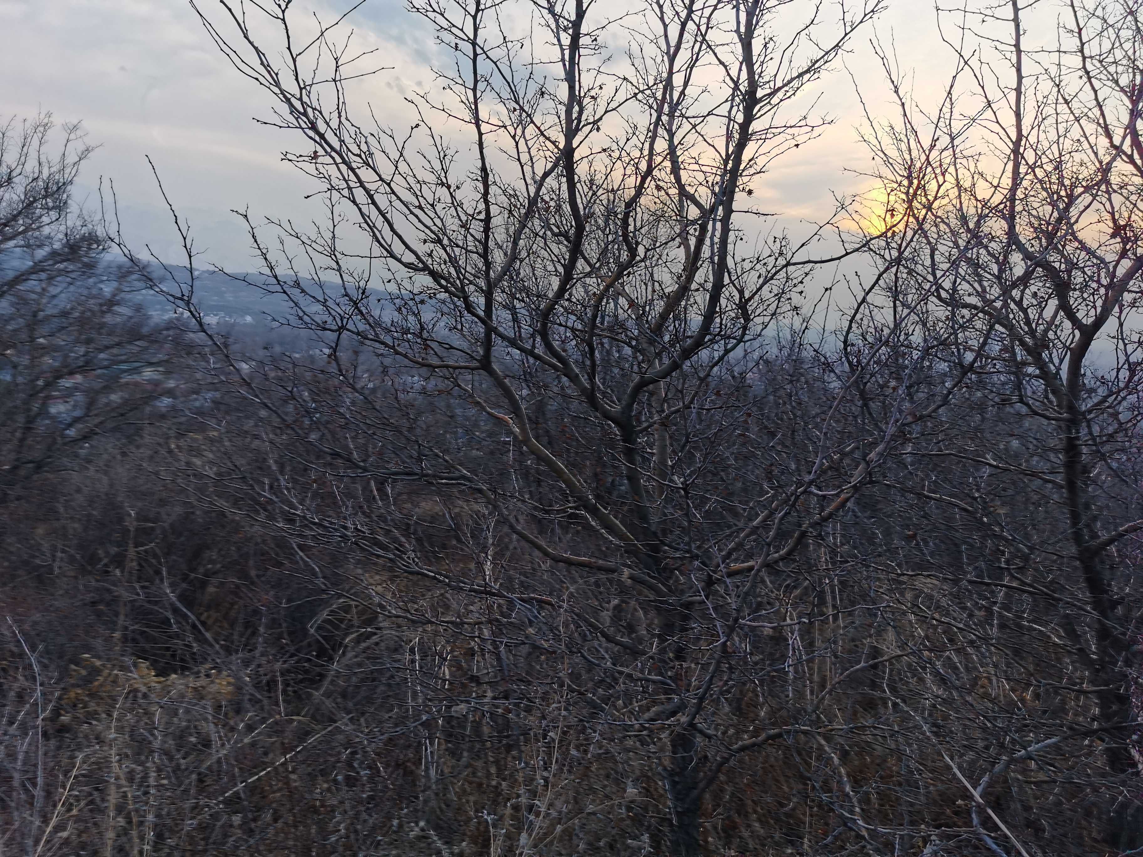 Участок 7 соток, мкр Коктобе Алматы, Медеуский р-н