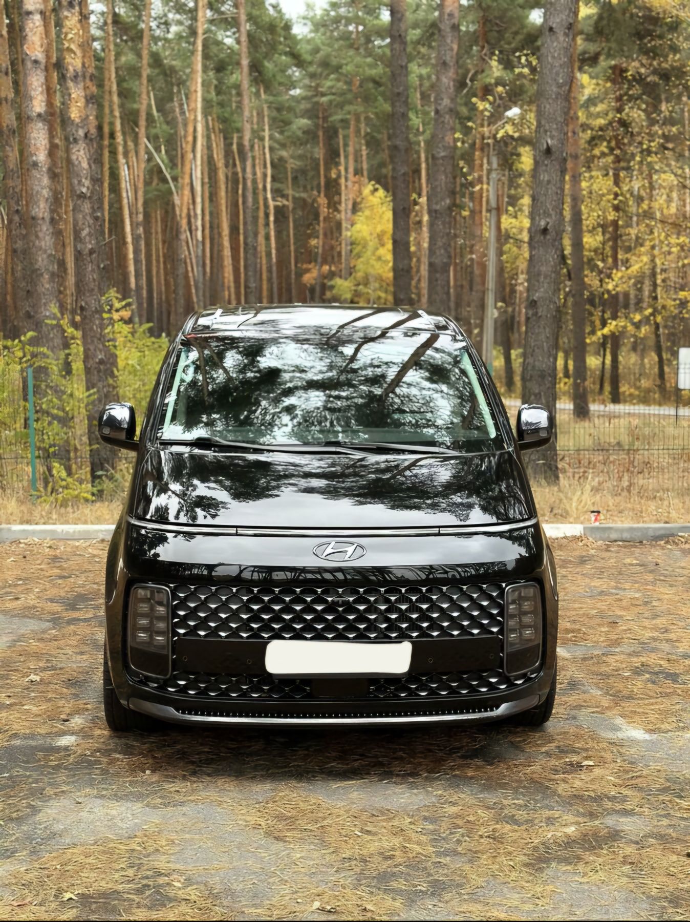 Минивэн с водителем, аренда Hyundai Staria, заказ микроавтобуса, такси