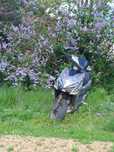 Байге 125 кубов .