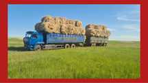 Продам Сено в рулонах, самовывоз