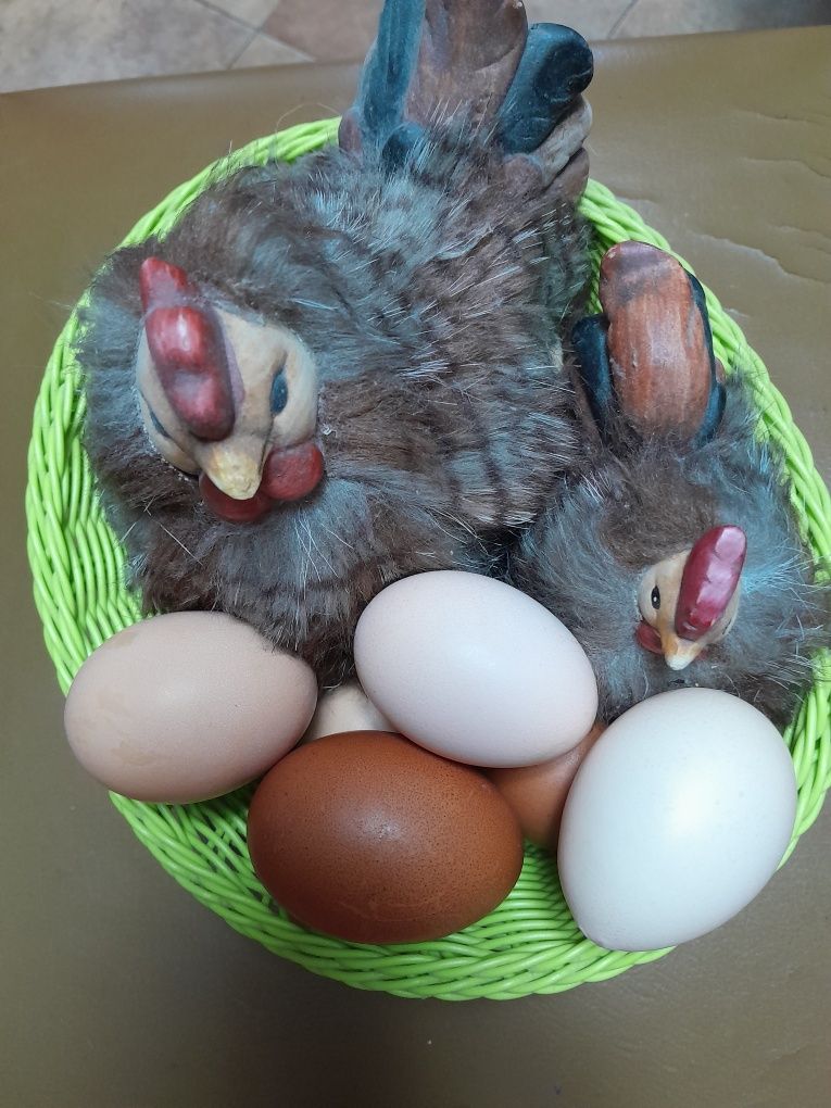Яйца куринные  домашние
