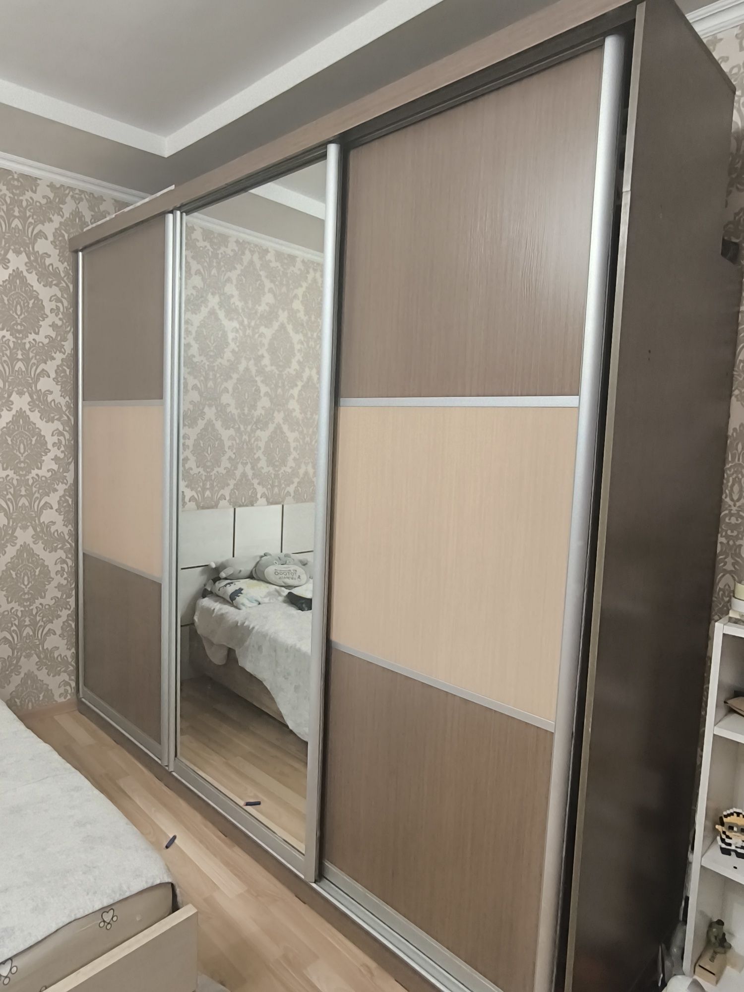 Шкаф купе с зеркалом