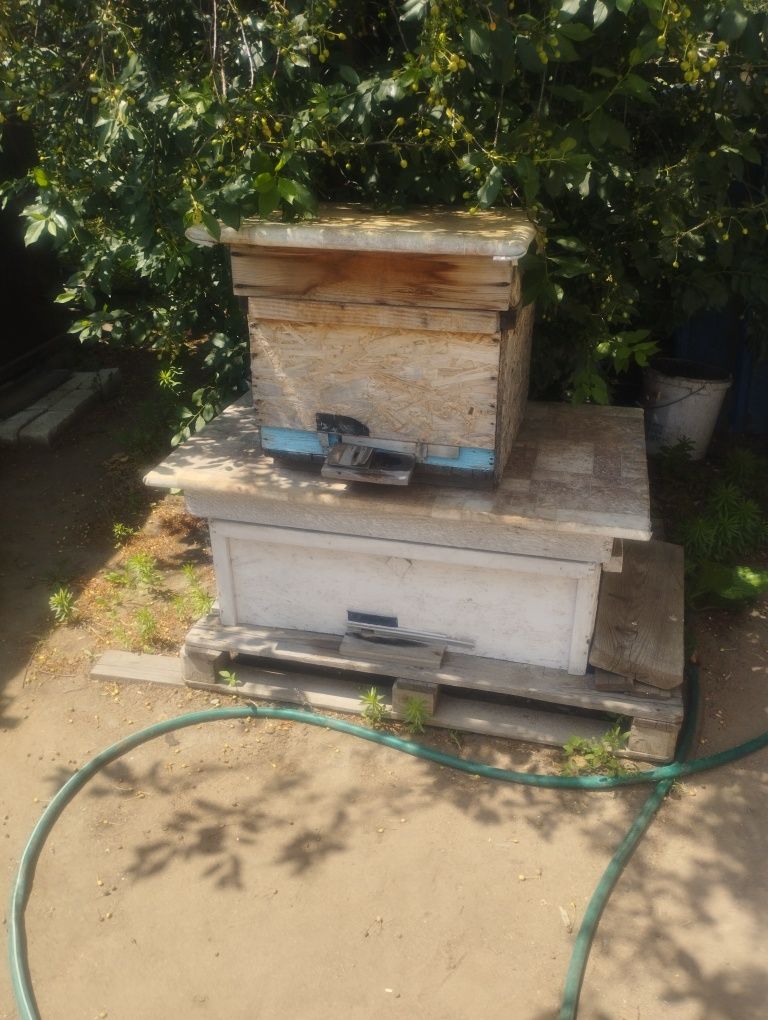 Продам 2 улья для пчел.5 и 3тыс.