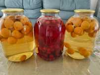 Компот консервированый, абрикос и вишня