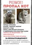 ПОТЕРЯЛСЯ кот британский район федоровки