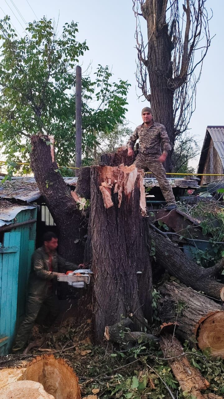 спил деревьев, обрезка дерева, дерево
агаш кесеміз
Вывоз мусора, зачис