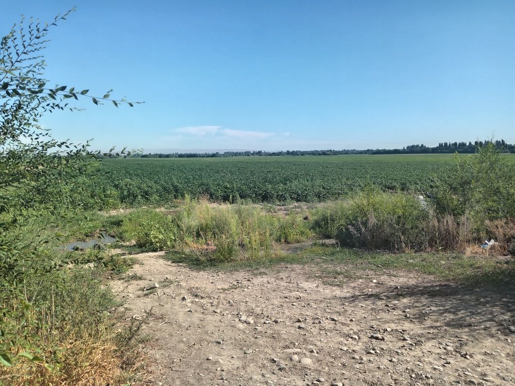 Сдам в аренду поливной землю