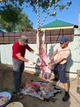 Сабаки сабачия еда тамак итын