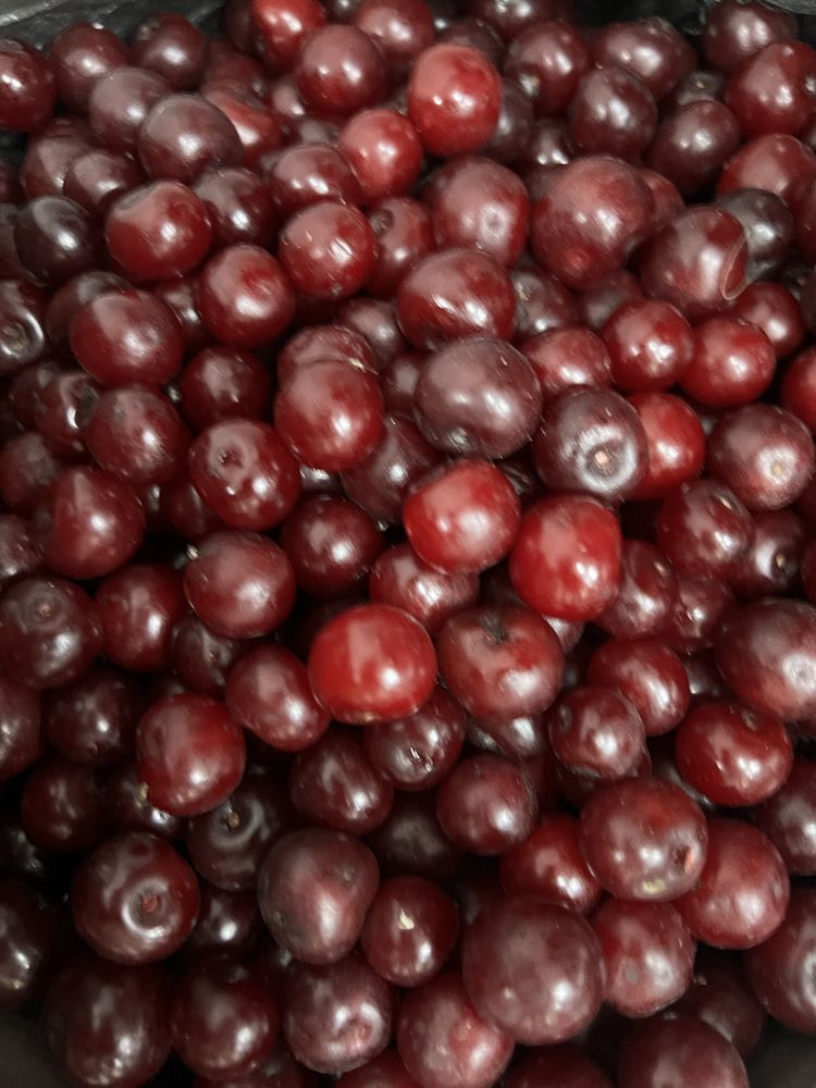 Продаю вишню, цена договорная