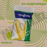 СИ Андромеда фао 550 семена кукурузы