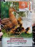 Инкубатор Матрица Обмен