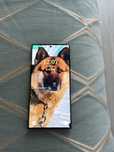 Samsung s 22 ultra