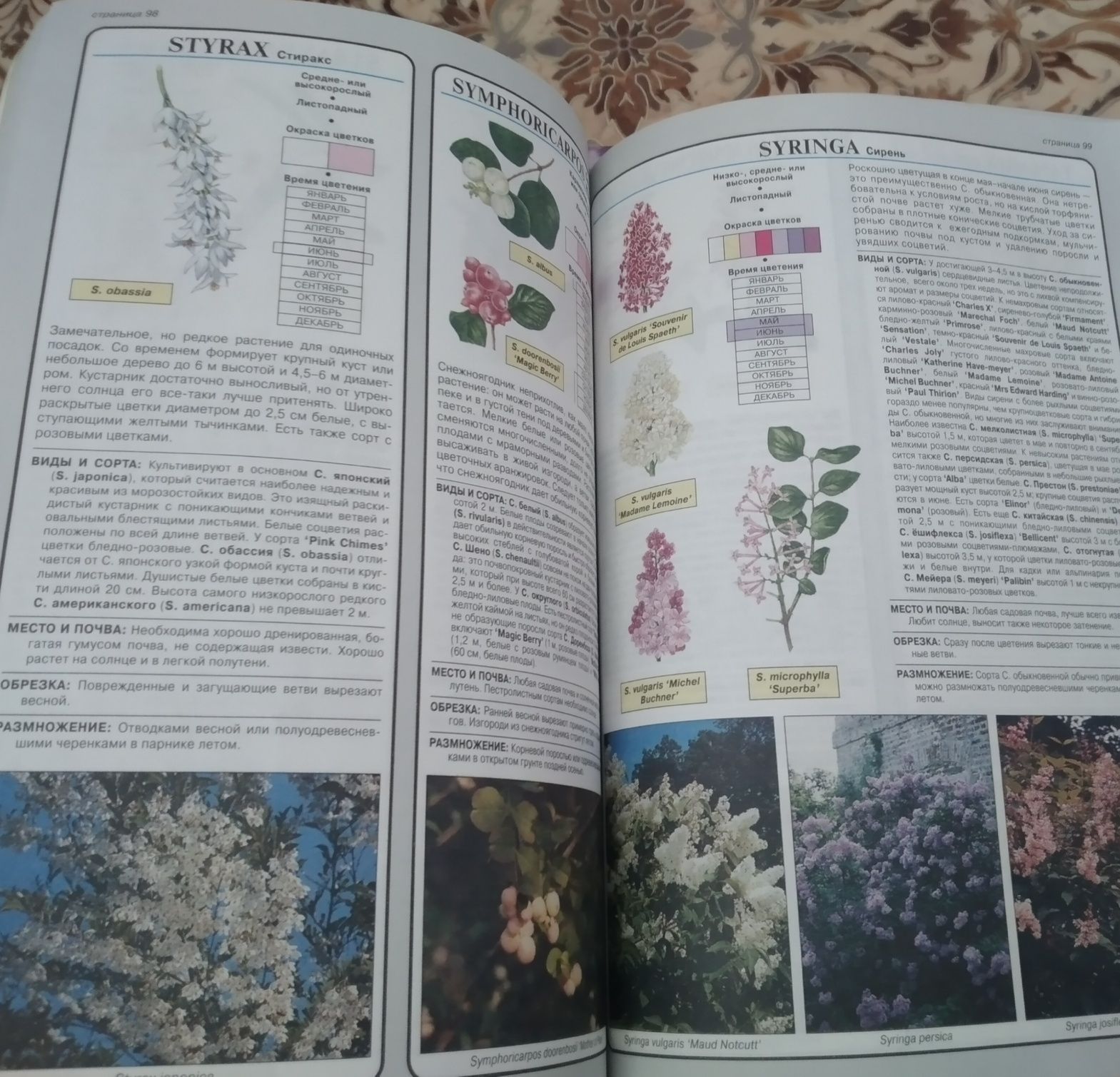 Книга Все о Цветы и растения