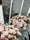 Объемные Свежие кустовые розы в наличии