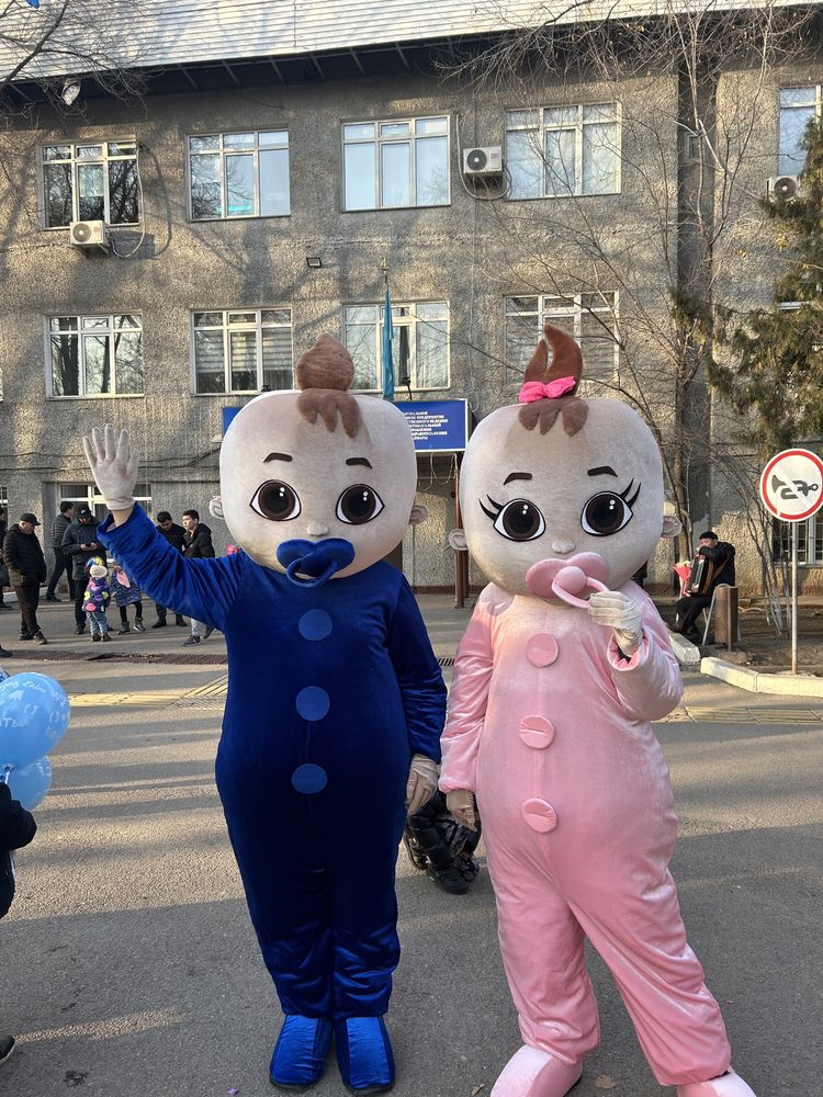 Аренда  ПУПСОВ, Мишки, Зайки  на гендер пати , выписку из роддома