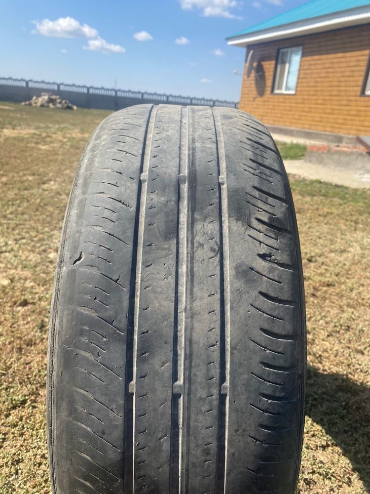 Dunlop летний шиналар сатылады 205/55 r16