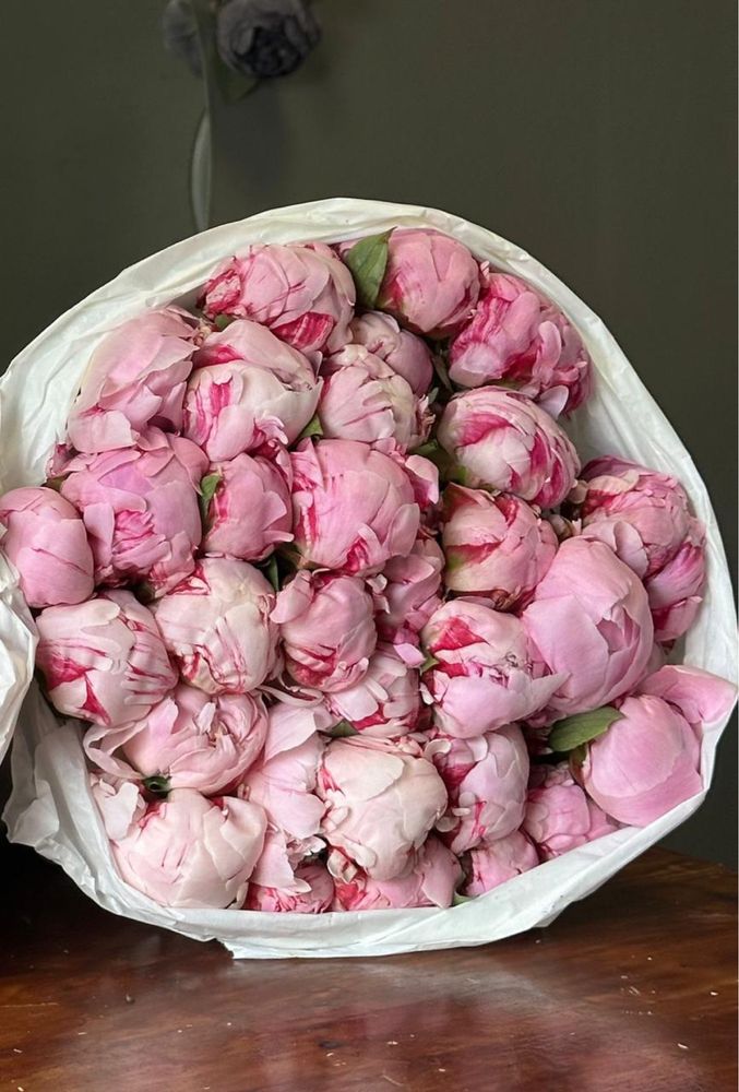 Пионы розы Голландские