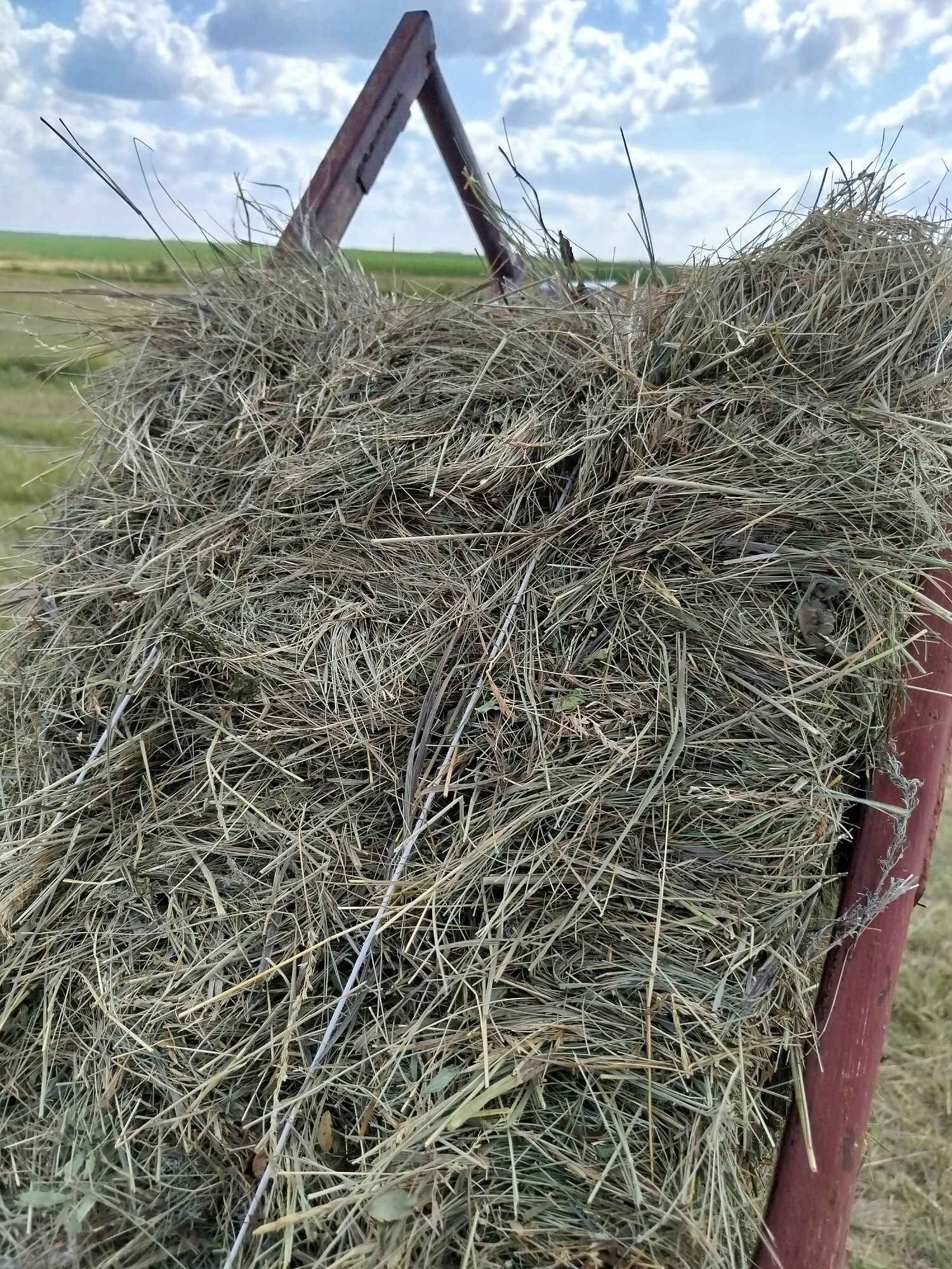 Продам сено в квадратных тюках