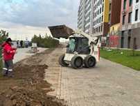 Аренда минипогрузчик, услуги минипогрузчика МКСМ бобкат бобкэт bobcat