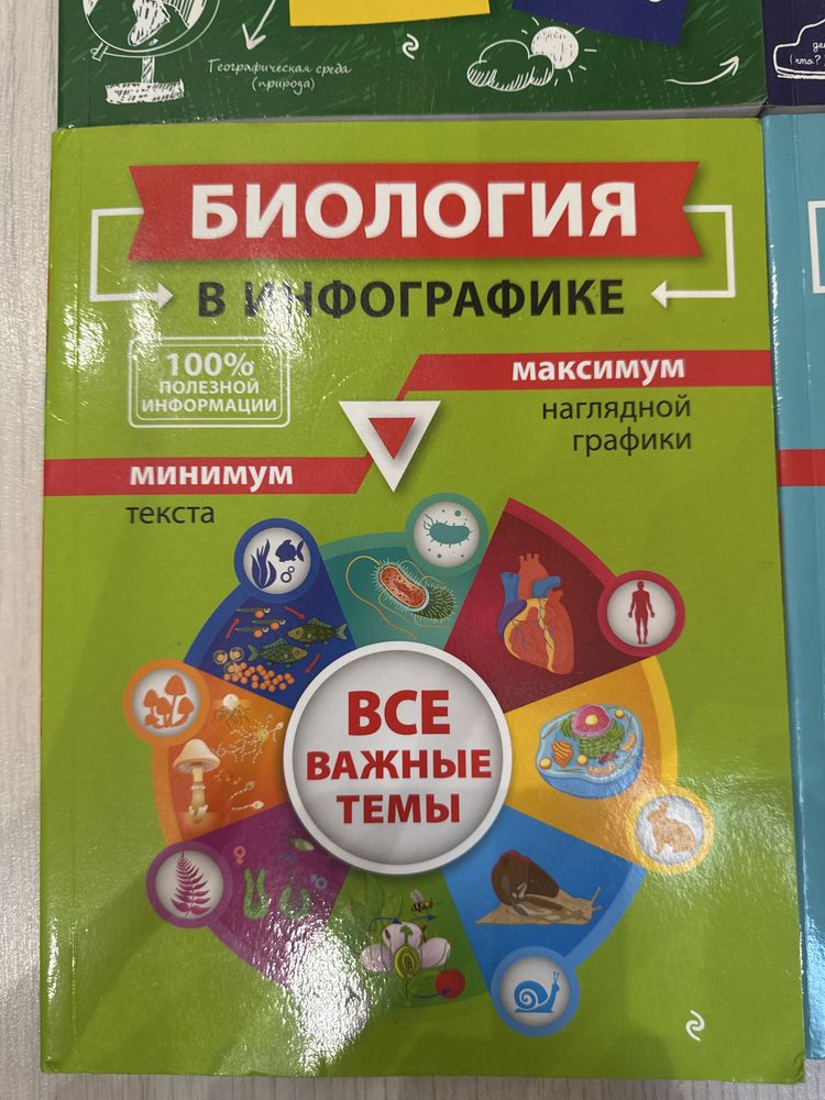 Школьные пособия в инфорграфике