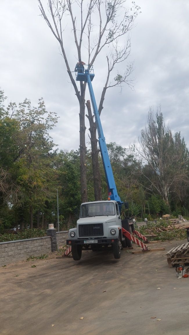 Автовышка услуги телескоп кобра