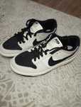 Nike Dunk SB low