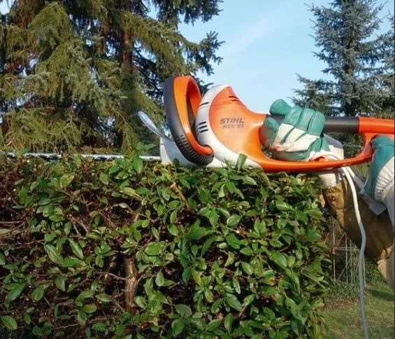 Продам новый кусторез STIHL HSE 61





Кусторез STIHL HSE 61





Кус