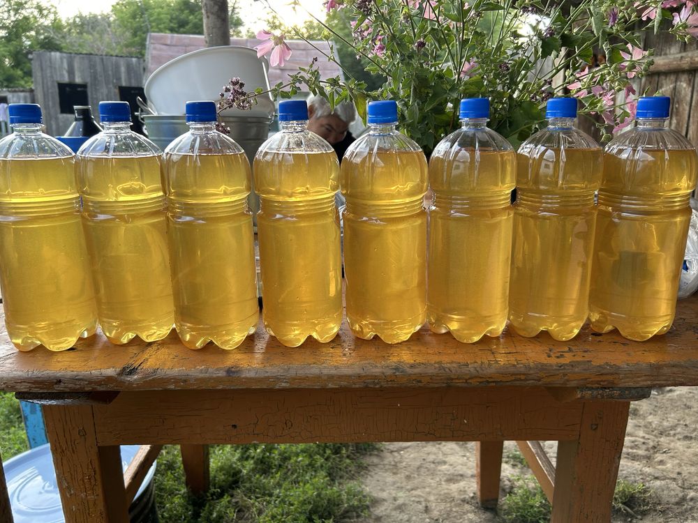 Продам мёд катон-карагайский
