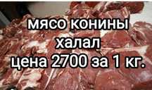 Продам мясо конины халал.